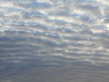 9月17日（6-1）仮