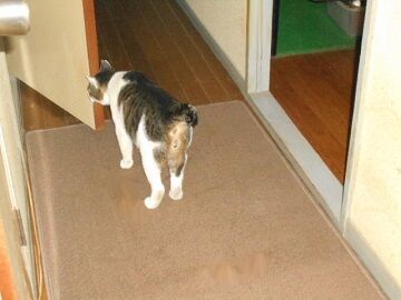 9月20日（59）仮