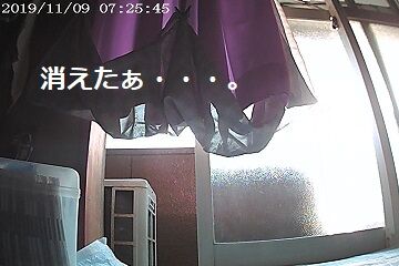 11月9日（13）仮