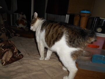 6月27日（25）仮