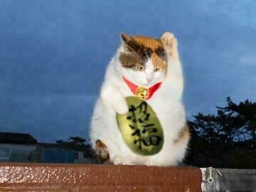 招き猫 1