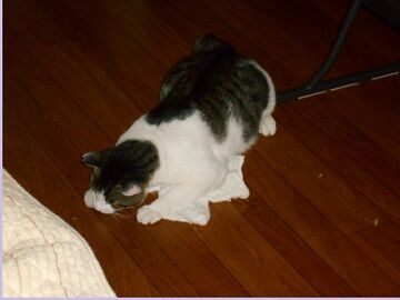 9月4日（108）仮