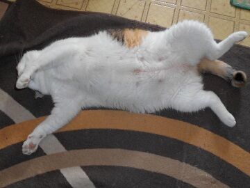 9月7日（8-1）仮