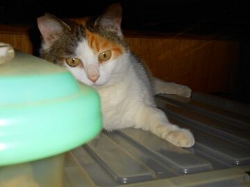 5月30日（24）仮