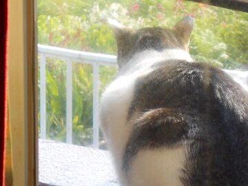 4月23日（10）仮