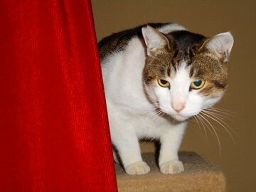 12月17日（32）仮