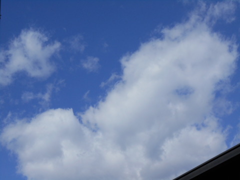 DSCN0168