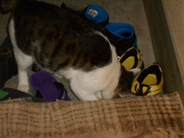 9月24日（23-12）仮