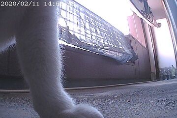 2月11日（37）仮