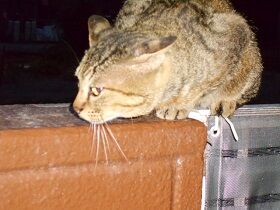 6月25日（46）仮