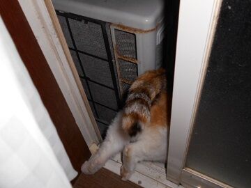 10月6日（20-4）仮