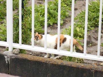 6月29日（93）仮