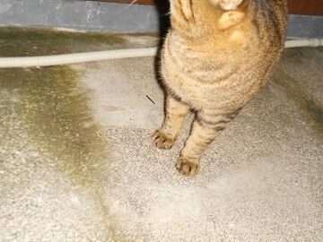 12月10日（14）仮