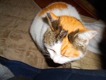 2月22日（21）仮