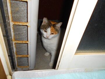 12月5日（23）仮