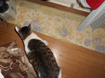 9月23日（22-6）仮