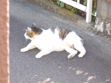 5月24日（14）仮