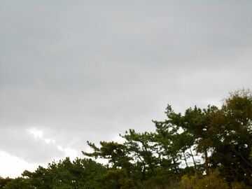 11月11日（17）仮