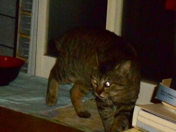 5月13日（55）仮