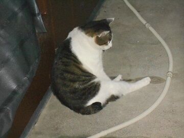 10月3日（17）仮