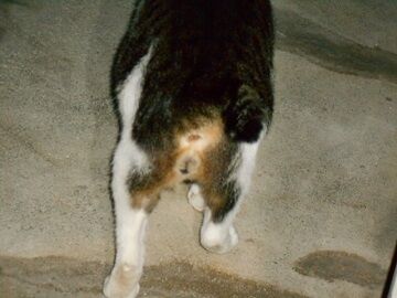 9月30日（20-10）仮