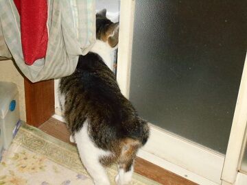 6月20日（50）仮