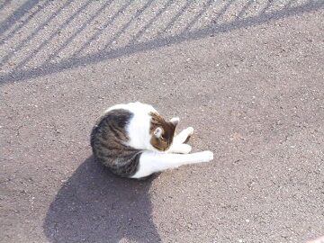 12月24日（19）仮