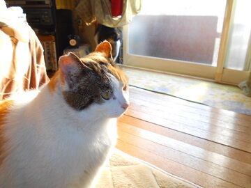 3月18日（22）仮