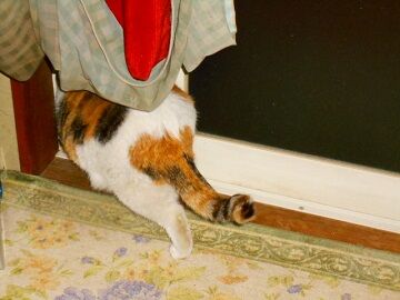 3月29日（33）仮