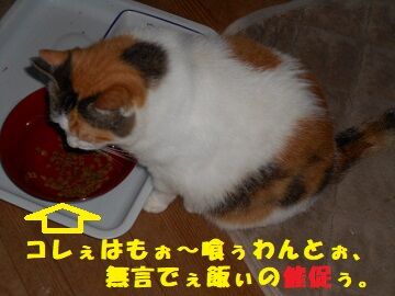 7月30日（30）仮