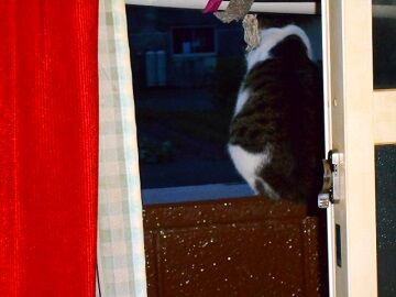 10月20日（13）仮