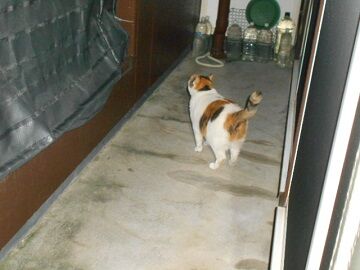 9月30日（23-7）仮