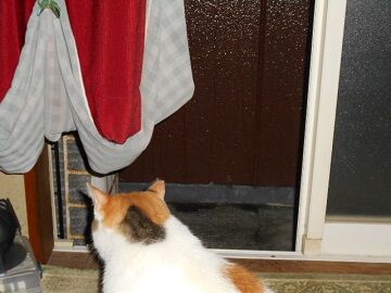 9月27日（18-23）仮