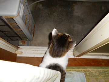 10月23日（79）仮