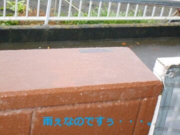 12月2日（24）仮