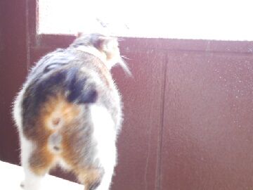 5月18日（81）仮