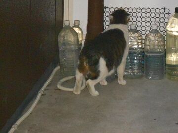 12月29日（12）仮