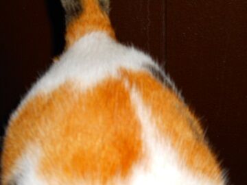 1月22日（70）仮