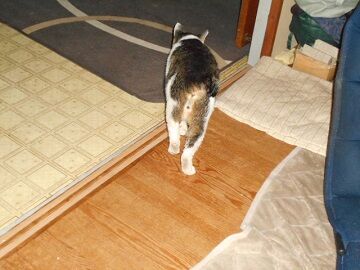 6月25日（51）仮