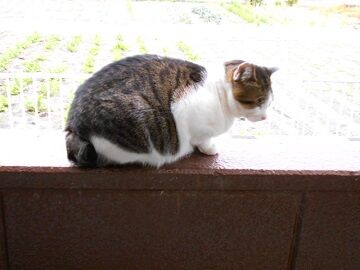 12月6日（11）仮