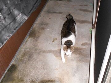 10月7日（23-13）仮