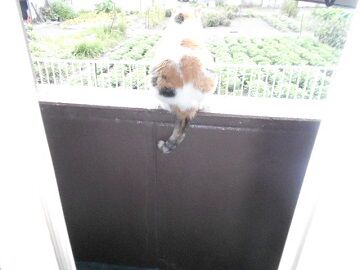 7月19日（22）仮