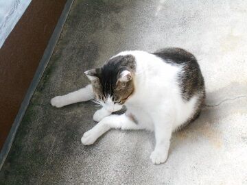 9月16日（9-9）仮