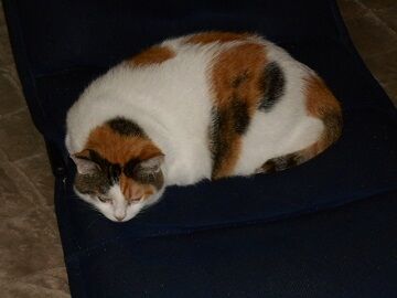 9月28日（22-4）仮