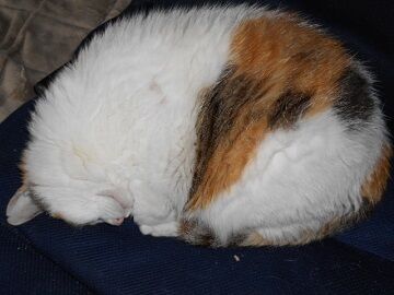 6月23日（32）仮