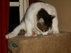 9月27日（19-4）仮