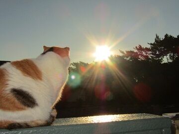 1月1日　7-46-6仮