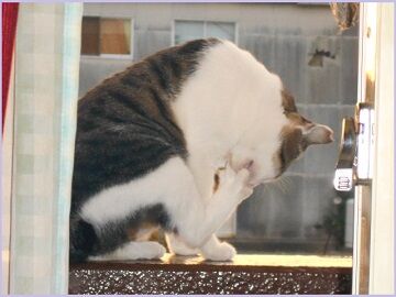 10月2日（19）仮