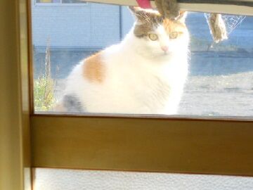 11月10日（50）使用