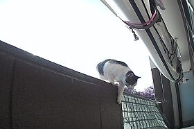 11月10日（80）仮